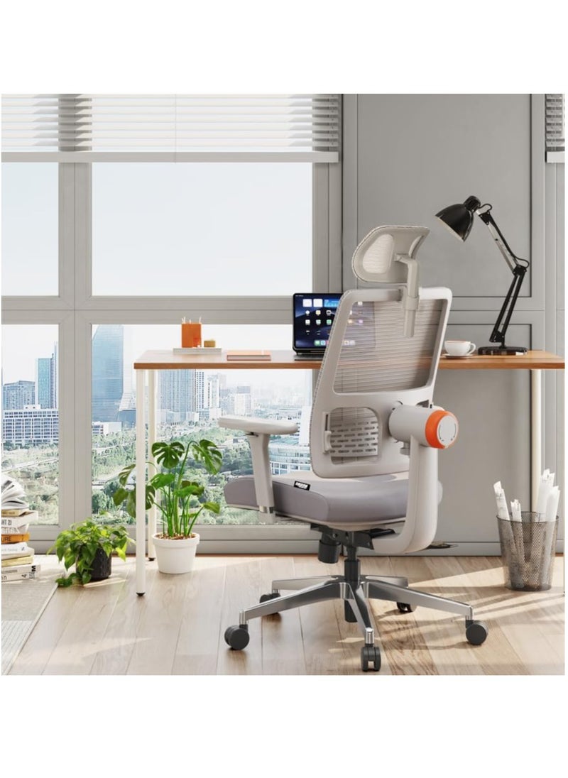 DROGO - Ergonomic Office Chair for Work from Home, High Back Computer Chair with Adaptive Lumbar Support, 4D Armrest, Recline, Adjustable Height & Headrest, Mesh Chair for Office (Grey) - Image 1