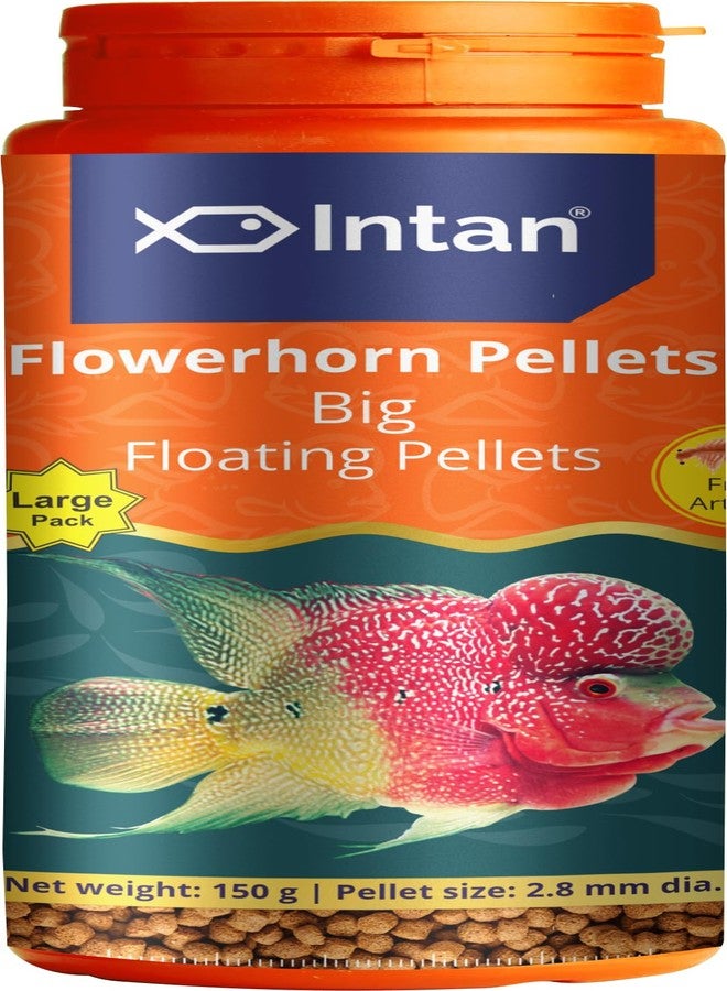 Intan Aquatic Intan Flower Horn Pellets for Fish | Aquarium Fish Food Big Floating Pellets for All Life Stages Fishes | Daily Nutrition Fish Feed for Health & Growth | Large Pack Pellet 150 Gm, 2.8 mm Dia - Image 1