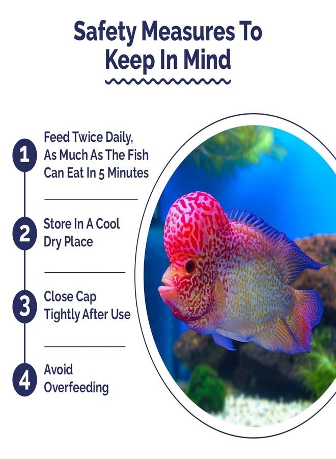 Intan Aquatic Intan Flower Horn Pellets for Fish | Aquarium Fish Food Big Floating Pellets for All Life Stages Fishes | Daily Nutrition Fish Feed for Health & Growth | Large Pack Pellet 150 Gm, 2.8 mm Dia - Image 4