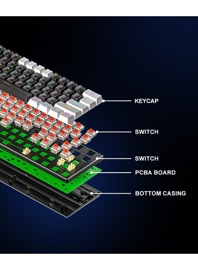 BD61 - RGB Hot-Swappable Mechanical Gaming Keyboard with Detachable Cable - Blue and Red Switches - Image 5