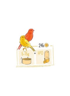 China Puur Canary Food 2kg  - Image 4