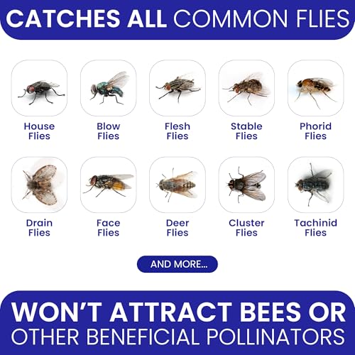BugBane Fly Traps Outdoor Fly Trap for Patio. 12 Non-Toxic Pre-Baited Flies Bags Outdoor Disposable. Hanging Bug Catchers for All Filth Flies Killer for Outside Bug Control in Yard Horse Ranch Trash Can - Image 3