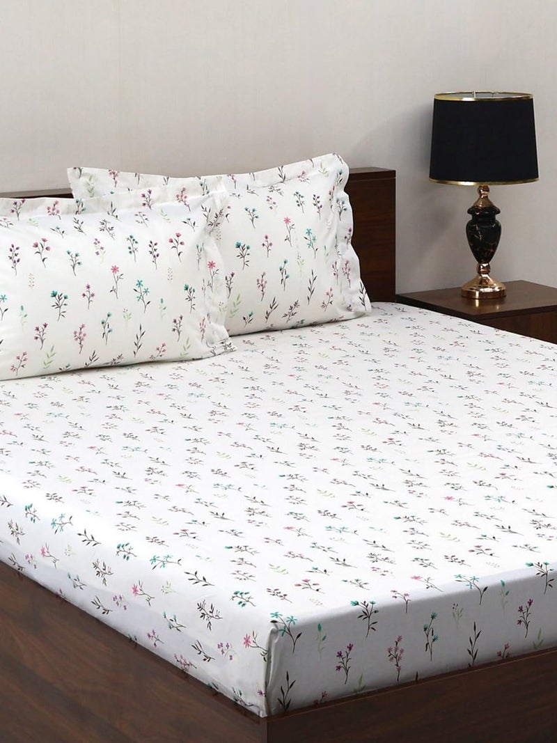 Bombay Dyeing مجموعة بمبي للتلوين الكلاسيكية - ملاءة سرير كينغ 180 TC 100% قطن نقي مع 2 غطاء وسادة - Image 2