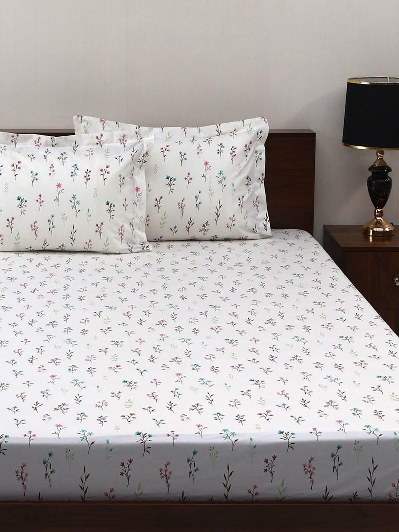 Bombay Dyeing مجموعة بمبي للتلوين الكلاسيكية - ملاءة سرير كينغ 180 TC 100% قطن نقي مع 2 غطاء وسادة - Image 3
