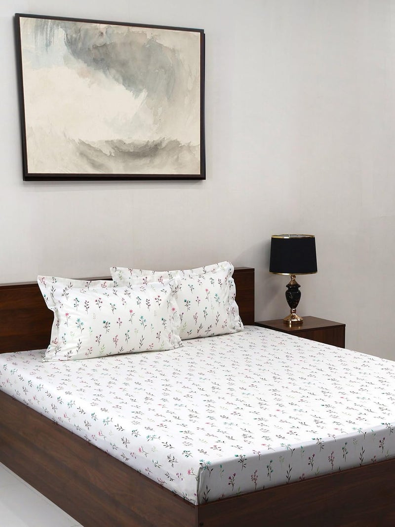 Bombay Dyeing مجموعة بمبي للتلوين الكلاسيكية - ملاءة سرير كينغ 180 TC 100% قطن نقي مع 2 غطاء وسادة - Image 1