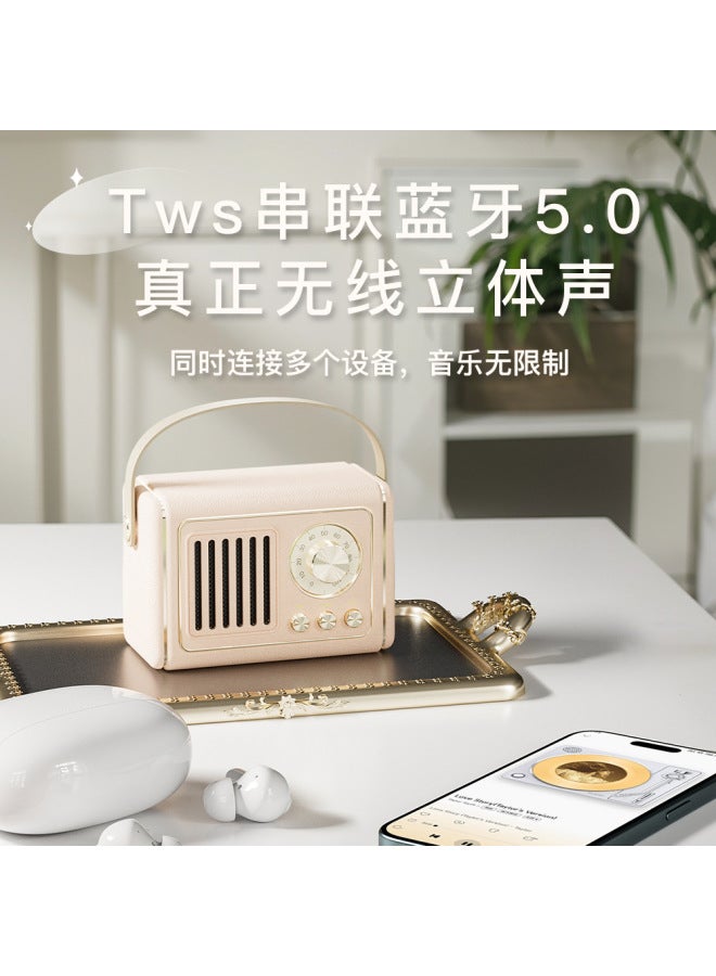 نيوترل مكبر صوت بلوتوث صغير مبدع بتصميم رجعي، محمول للاستخدام الخارجي، يدعم USB وبطاقة TF، عالي الجودة مع راديو FM، مكبر صوت صغير الحجم - Image 3