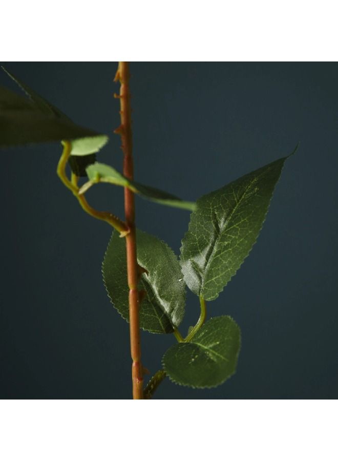 Home Box Aria Rose Flower Stem  - Image 3