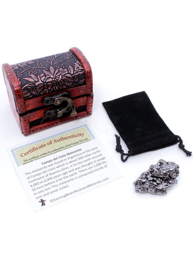 Dancing Bear Meteorite Extra Large 2070G (6070G) - Image 2
