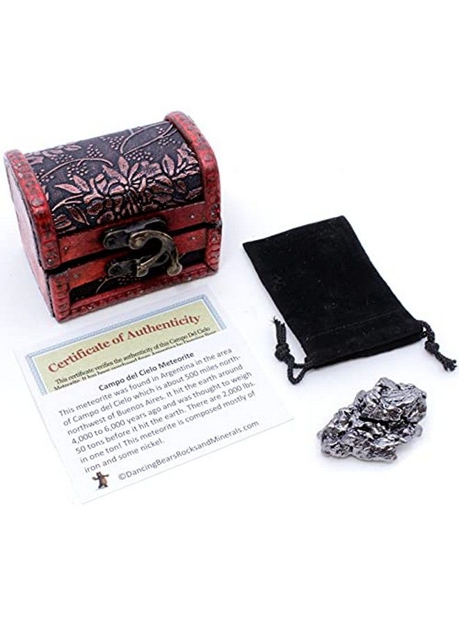 Dancing Bear Meteorite Extra Large 2070G (6070G) - Image 1