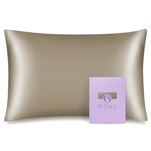OLESILK 100 Mulberry Silk Toddler Pillowcase for Hair and Skin Both Sides 19 Momme Pure Natural Silk Travel Pillow Cases with Hidden Zipper 13x 18 Taupe