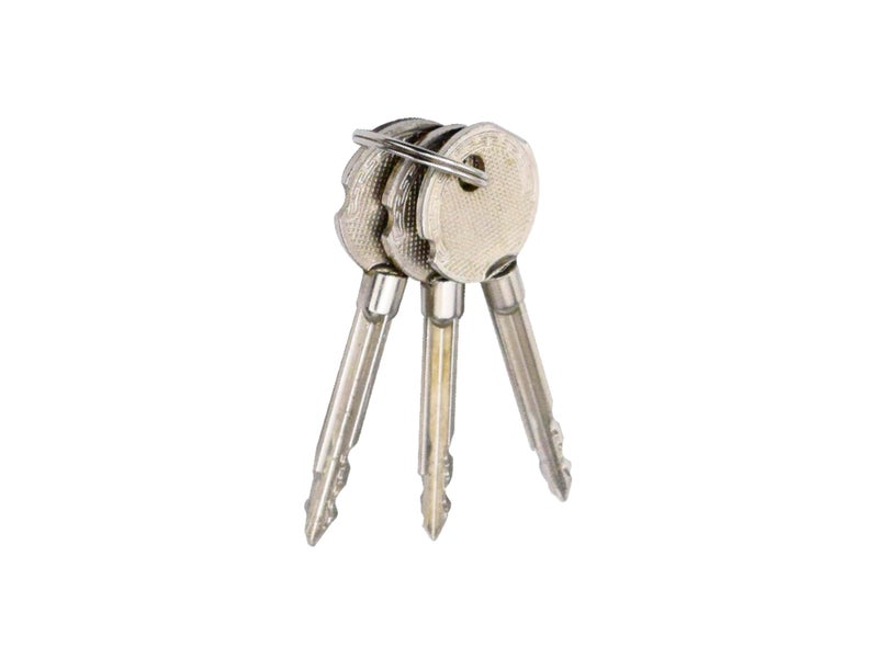 RAB Sliding Locks MS (Iron) for Doors with Security Locking Mechanism and Safety Purpose(Code:- Lock Sliding 4ever, Keys:- 2 Ultra Star Keys) (Pack of:- 2 pcs Lock) - Image 5