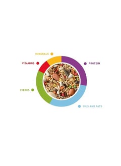 Padovan GrandMix Cocorite Bird Food 1 kg  - Image 5