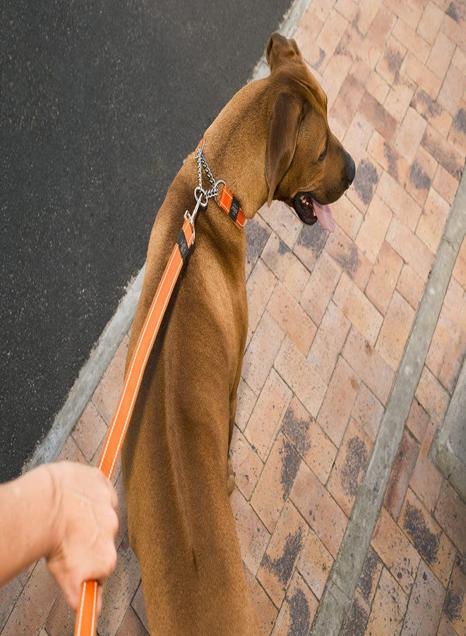 Rogz Reflective Dog Leash for Large Dogs, 3/4" wide, 6' long, Orange - Image 3