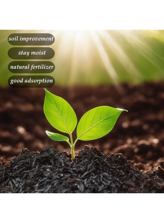 FDTY فحم البستنة ، قشرة الأرز الفحم المنشط الطبيعي للنباتات تعديل التربة للفحم الحيوي الداخلي العضوي للتيراريوم - 2.2 رطل (1 كجم) - Image 2