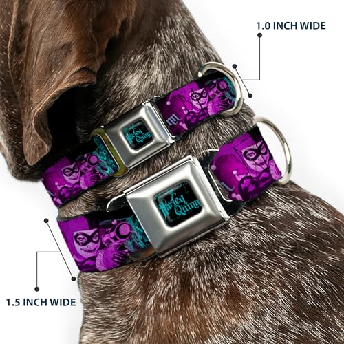 Buckle Down Dog Collar Seatbelt Buckle Harley Quinn Pow Aiming Poses Joker Black Turquoise Fuchsia 18 to 32 Inches 1.5 Inch Wide - Image 2
