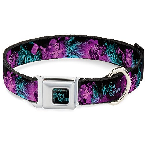 Buckle Down Dog Collar Seatbelt Buckle Harley Quinn Pow Aiming Poses Joker Black Turquoise Fuchsia 18 to 32 Inches 1.5 Inch Wide - Image 1