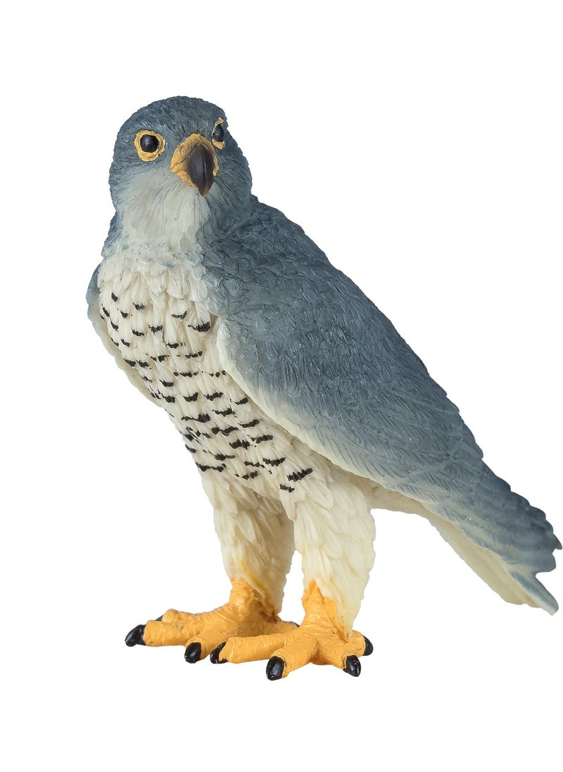 Mojo Peregrine Falcon - pzsku/Z6FA9ADB6D43F3943330EZ/45/_/1723280560/53ae85c0-2a62-4830-a9c1-6c1eccc41abe