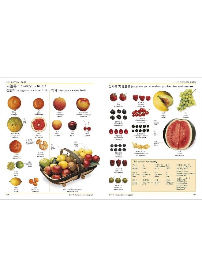 Korean-English Bilingual Visual Dictionary with Free Audio App - pzsku/Z6FA9B6A89194184B3F83Z/45/_/1726060562/923e5eae-ac86-4884-9e33-57e742ee7422