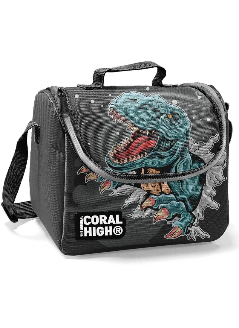 CORAL HIGH Kids Gray Dinosaur Thermo Lunchbox 22747