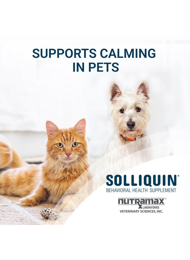 Nutramax Laboratories Nutramax Solliquin Calming Behavioral Health Supplement for Small to Medium Dogs and Cats - With L-Theanine, Magnolia / Phellodendron, and Whey Protein Concentrate, 75 Soft Chews  - Image 2
