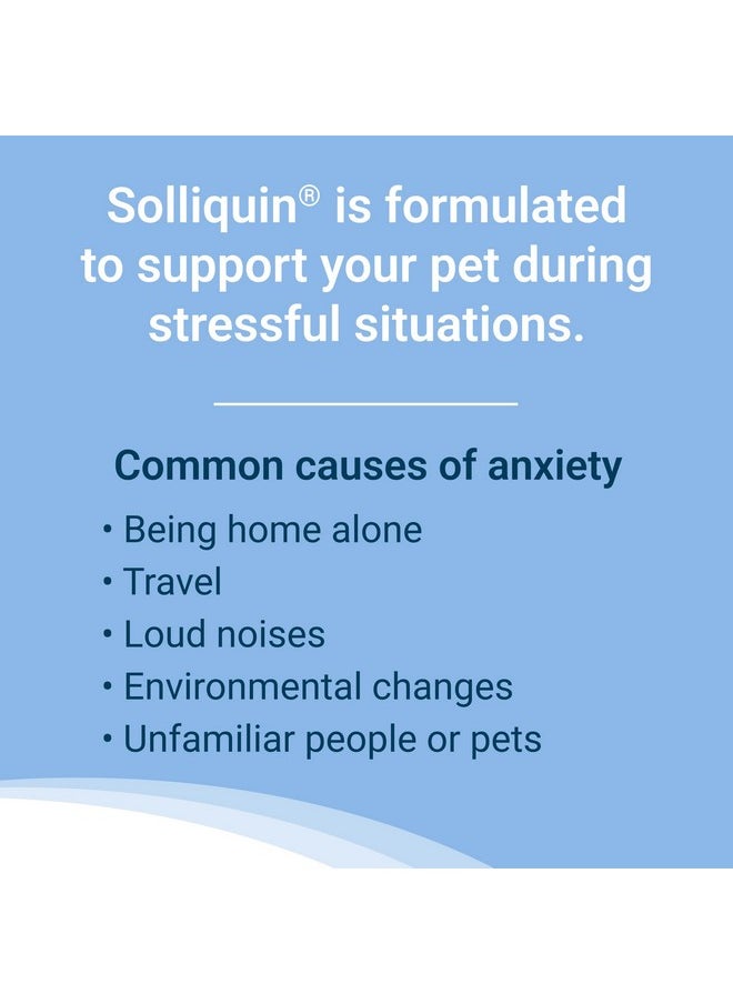 Nutramax Laboratories Nutramax Solliquin Calming Behavioral Health Supplement for Small to Medium Dogs and Cats - With L-Theanine, Magnolia / Phellodendron, and Whey Protein Concentrate, 75 Soft Chews  - Image 3