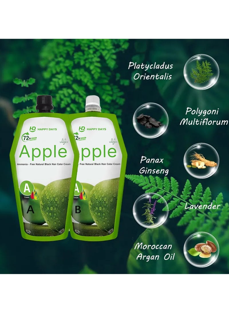 HAPPY DAYS Ammonia Free Hair Color Cream - 500 ml Cream + 500 ml Developer - Apple (Natural Black ) - Image 4