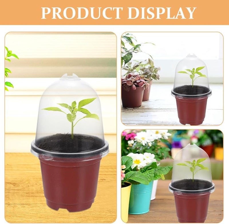 Luxshiny 5 Pack Seed Starter Kit With Humidity Domes Transparent Plastic Pots For Indoor Outdoor Gardening - Image 4