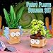 JAKI Botanicals Funny Cartoon Plants Building Toy Set Interchangeable Pot Design Desk Decor Birthday Gift Idea for Young Gardeners Artificial Indoor Plant Play Display for Kids Girls and Boys 12 - Image 4