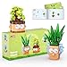 JAKI Botanicals Funny Cartoon Plants Building Toy Set Interchangeable Pot Design Desk Decor Birthday Gift Idea for Young Gardeners Artificial Indoor Plant Play Display for Kids Girls and Boys 12 - Image 2