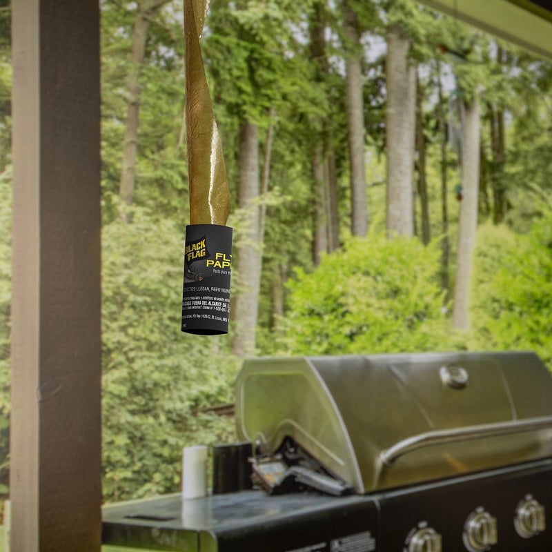Black Flag Fly Paper, Insect Trap, Catches All Flying Insects 4 Traps - Image 5