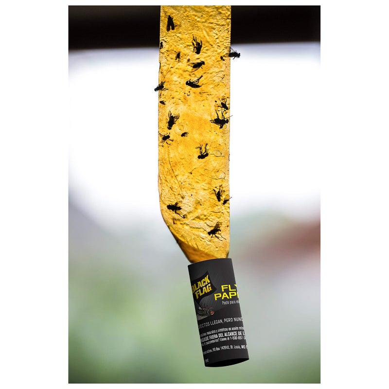Black Flag Fly Paper, Insect Trap, Catches All Flying Insects 4 Traps - Image 4