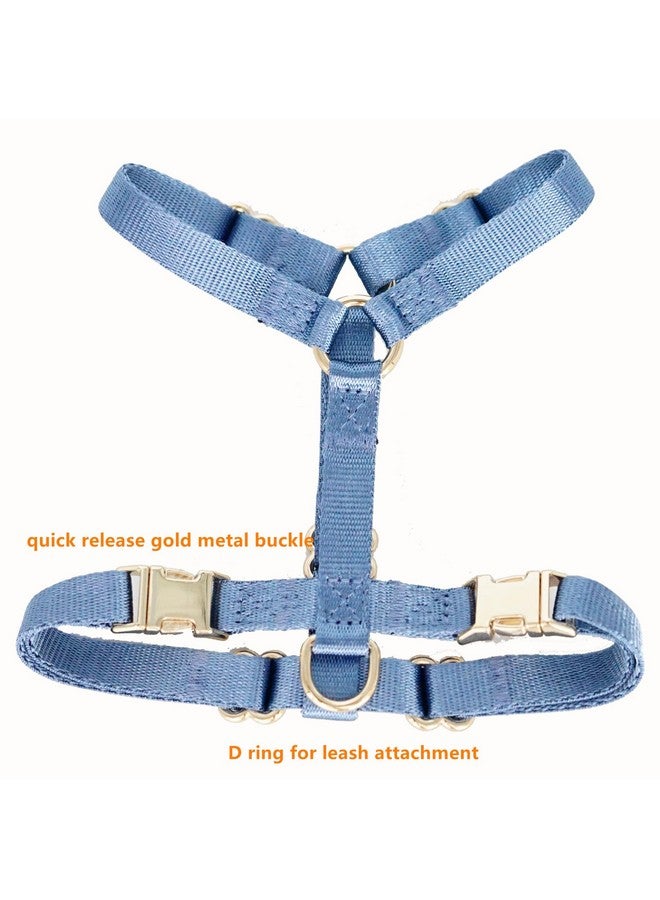 حزام نايلون للكلاب بدون شد مع مشابك معدنية ذهبية، سهل المشي والتدريب (أزرق هوائي، متوسط) - Image 2