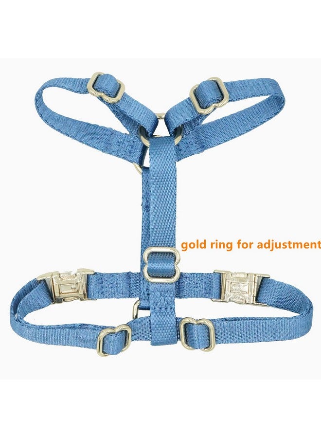 حزام نايلون للكلاب بدون شد مع مشابك معدنية ذهبية، سهل المشي والتدريب (أزرق هوائي، متوسط) - Image 3