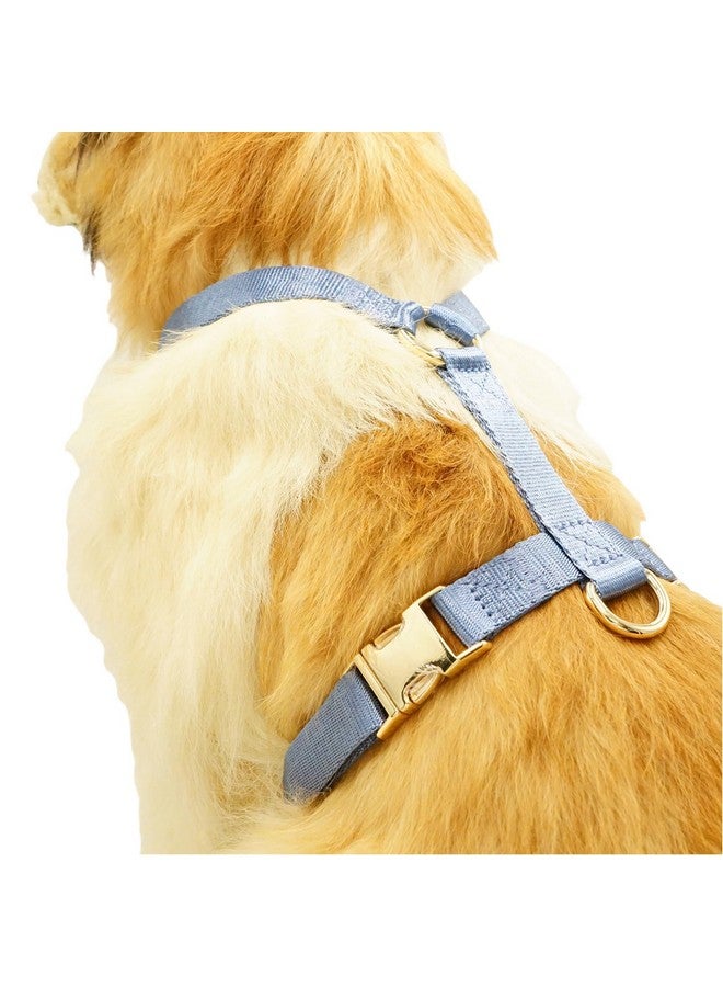 حزام نايلون للكلاب بدون شد مع مشابك معدنية ذهبية، سهل المشي والتدريب (أزرق هوائي، متوسط) - Image 5