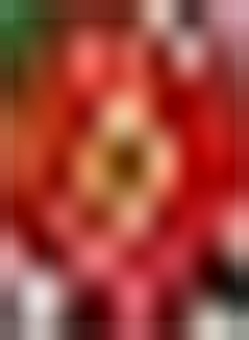 GGOOT 200pcs Rode Zinnia Zaden Aantrekkelijke Zinnia Bloemzaden voor Buiten Binnenplaats Planten Sterk Aanpassingsvermogen Geliefd bij Tuinders - Image 2