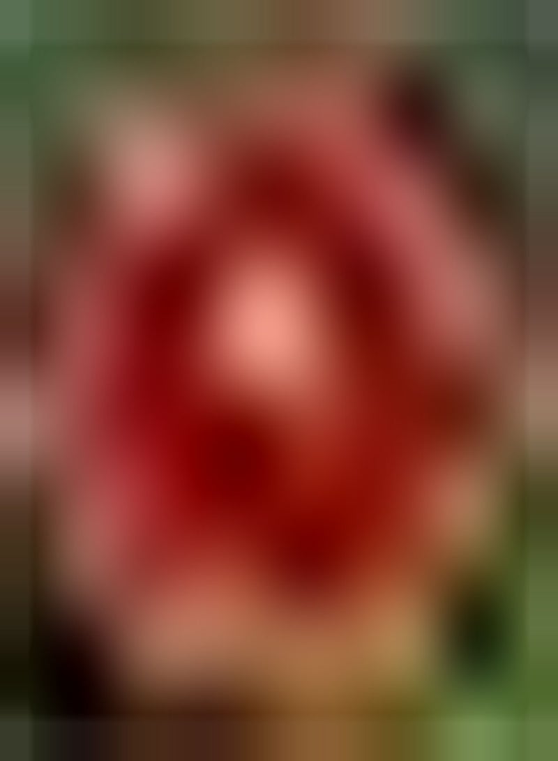 GGOOT 200pcs Rode Zinnia Zaden Aantrekkelijke Zinnia Bloemzaden voor Buiten Binnenplaats Planten Sterk Aanpassingsvermogen Geliefd bij Tuinders - Image 1