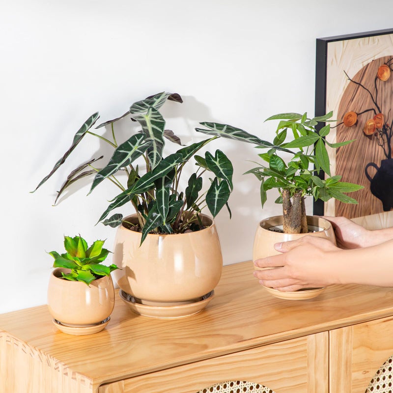 vancasso 3-Pack Ceramic Plant Pots, 3.7/4.8/6.2 Inch Indoor Planters with Saucers & Drainage Hole Planter pots for Indoor Plants and Flower, Brown - Image 5
