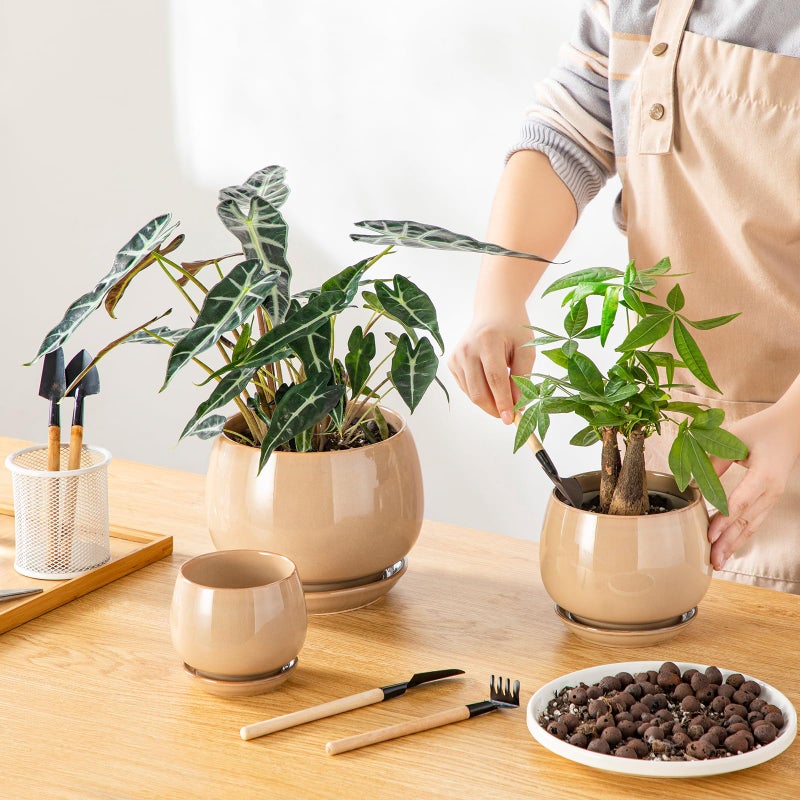 vancasso 3-Pack Ceramic Plant Pots, 3.7/4.8/6.2 Inch Indoor Planters with Saucers & Drainage Hole Planter pots for Indoor Plants and Flower, Brown - Image 4