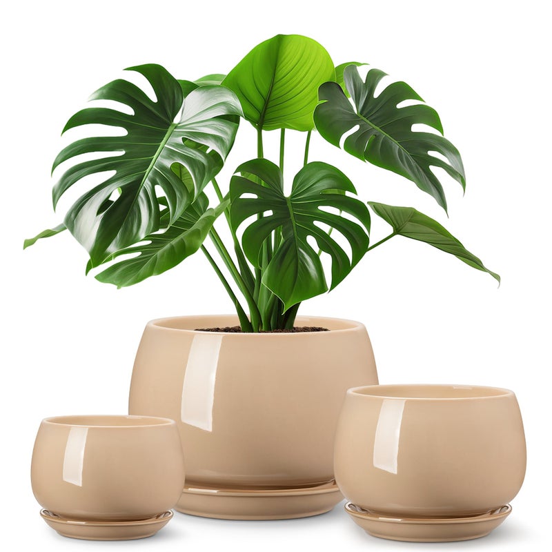 vancasso 3-Pack Ceramic Plant Pots, 3.7/4.8/6.2 Inch Indoor Planters with Saucers & Drainage Hole Planter pots for Indoor Plants and Flower, Brown - Image 1