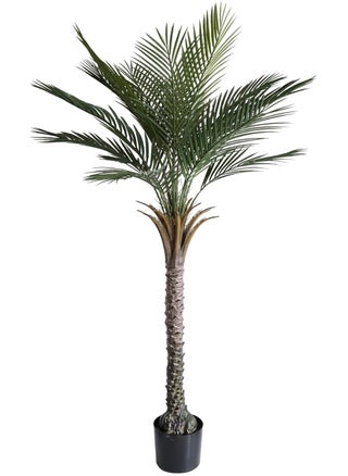 شجرة النخيل الاصطناعية 240 cm