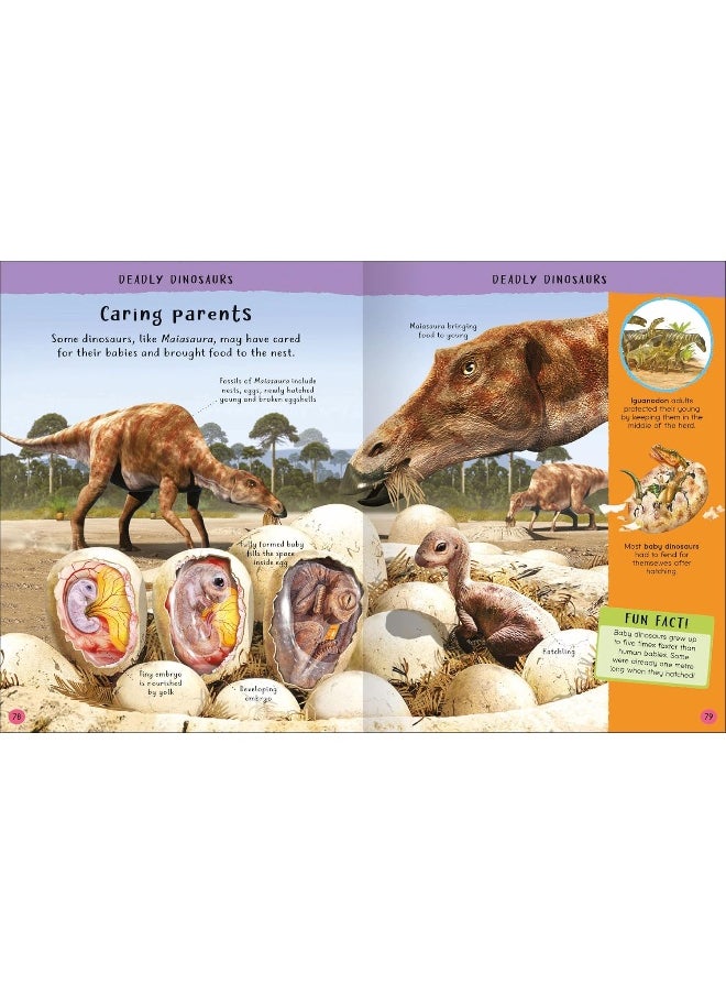 Junior Encyclopedia