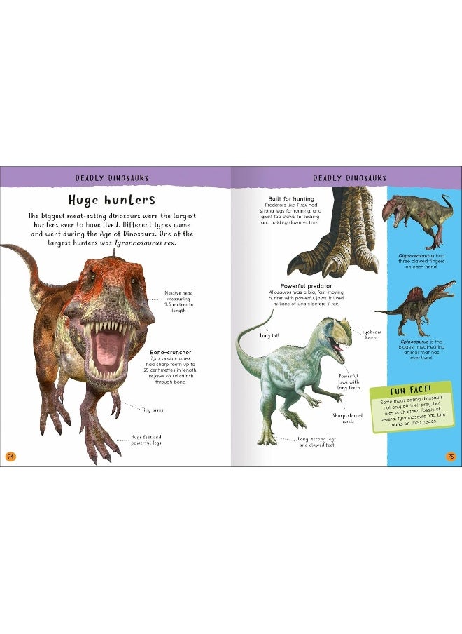 Junior Encyclopedia