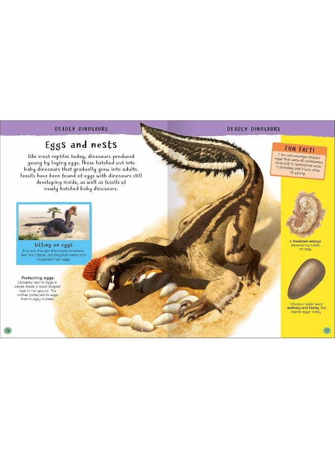 Junior Encyclopedia