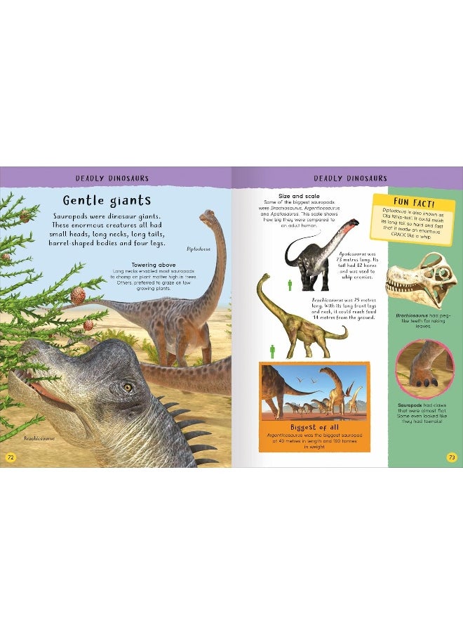 Junior Encyclopedia