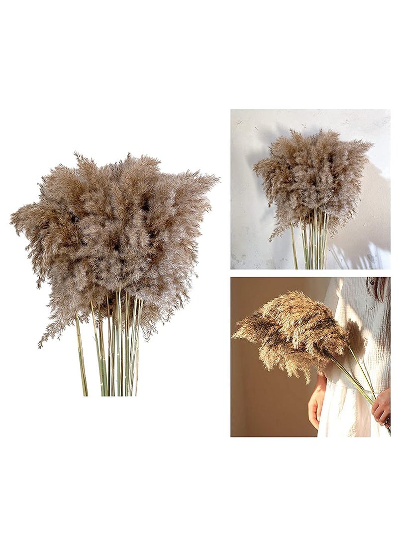 WKHS WKHS 15PCS Natural Dried Pampas Grass for Flower Arrangements Wedding Decor Plumes Large Dry Pampas Grass Plants Fluffy Natural Reed Grass Stems Bouquet for Boho Home Decor 