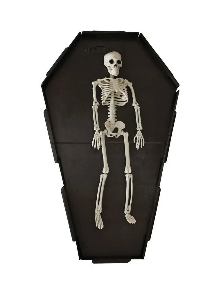 جينجر راي لوح تقديم الهيكل العظمي للهالوين - تابوت ثلاثي الأبعاد