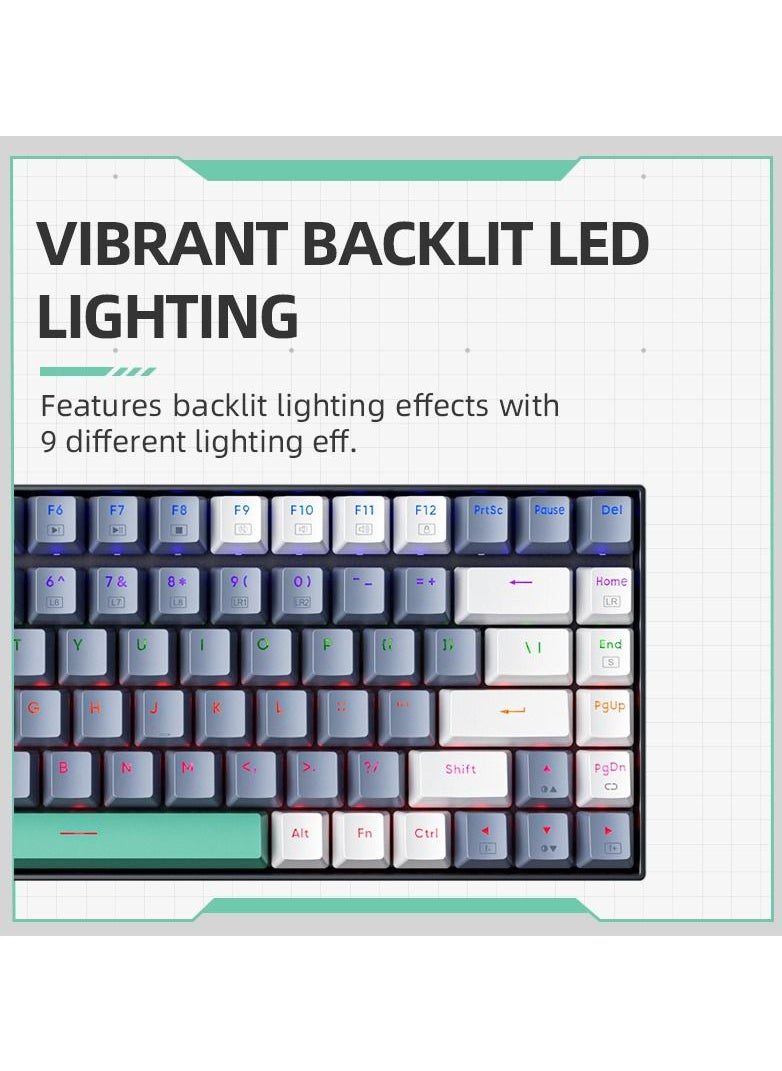 Gaming Keyboard RGB Light Mac Windows Mechanical Keyboard