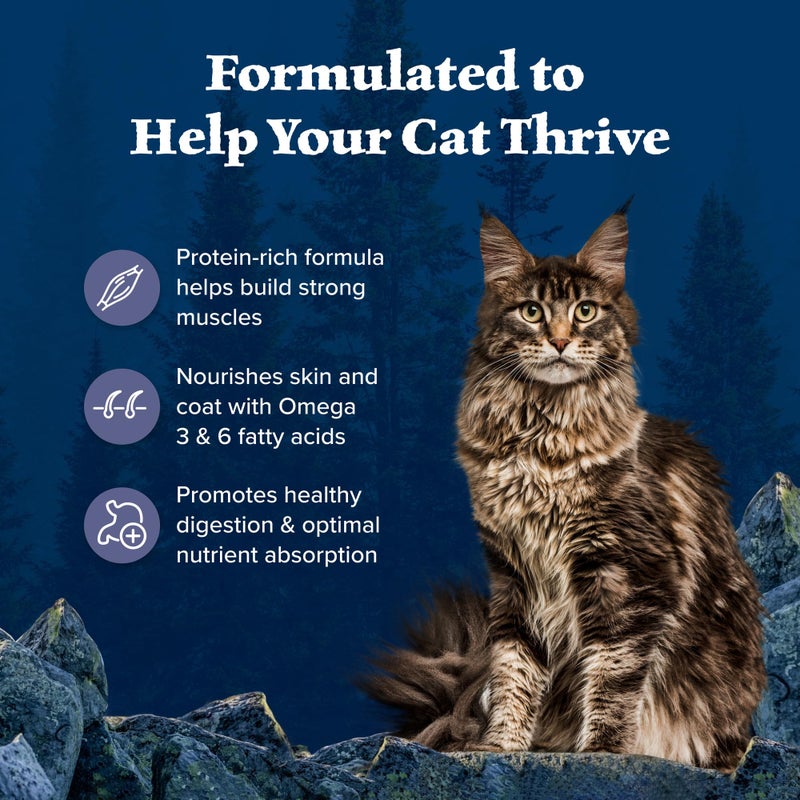 Blue Buffalo Wilderness Nature's Evolutionary Diet High-Protein, Grain-Free Natural Dry Food for Adult Cats, Chicken, 4-lb. Bag - Image 4