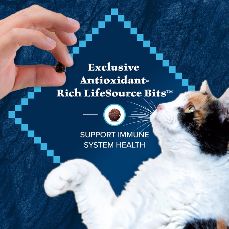 Blue Buffalo Wilderness Nature's Evolutionary Diet High-Protein, Grain-Free Natural Dry Food for Adult Cats, Chicken, 4-lb. Bag - Image 5