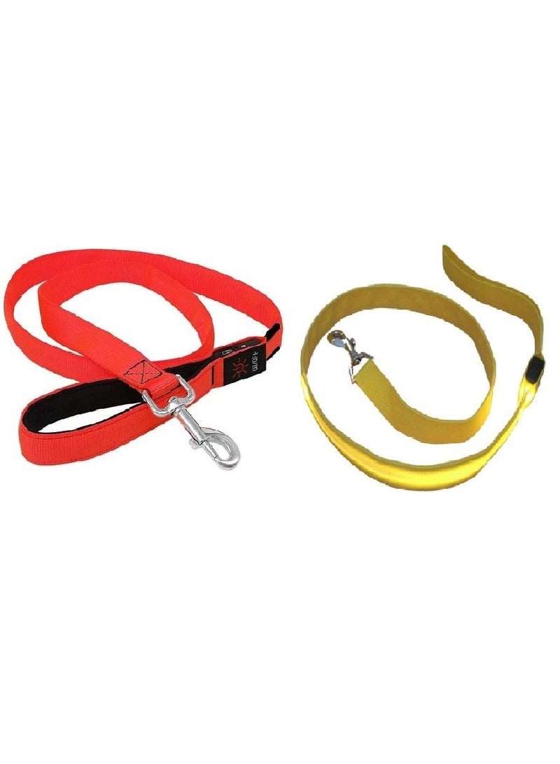 Ultra High Night Visibility USB Rechargeable Flashing Pet Leash Glow in The Night Multicolor Large 1Pcs - Image 2